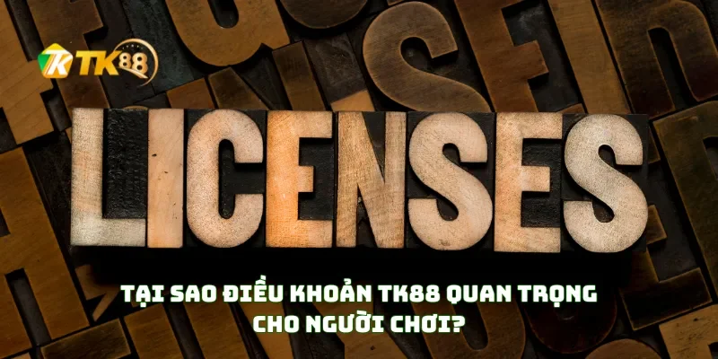 Điều khoản điều kiện TK88 1 Tại Sao Điều Khoản TK88 Quan Trọng Cho Người Chơi?